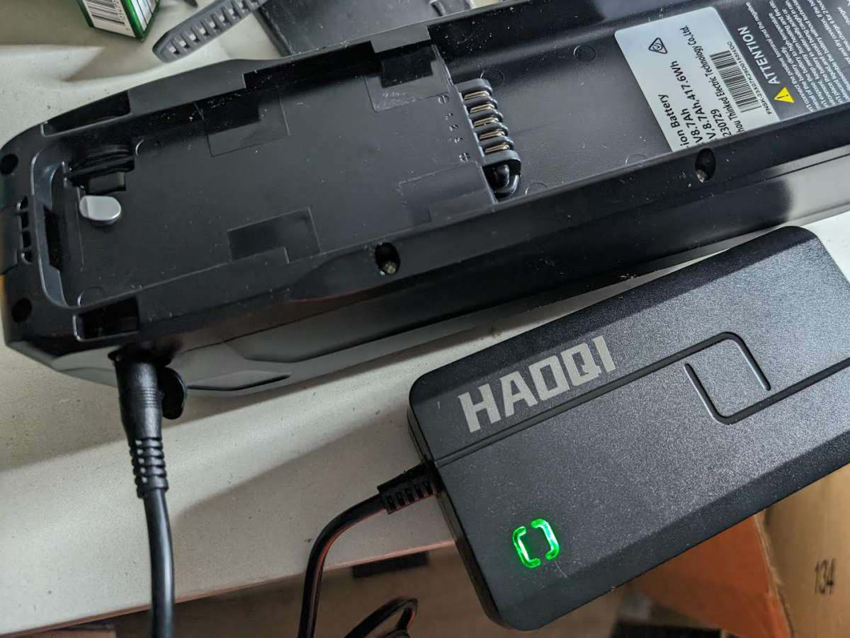 Haoqi Cheetah Rev 00000 e1717566350796